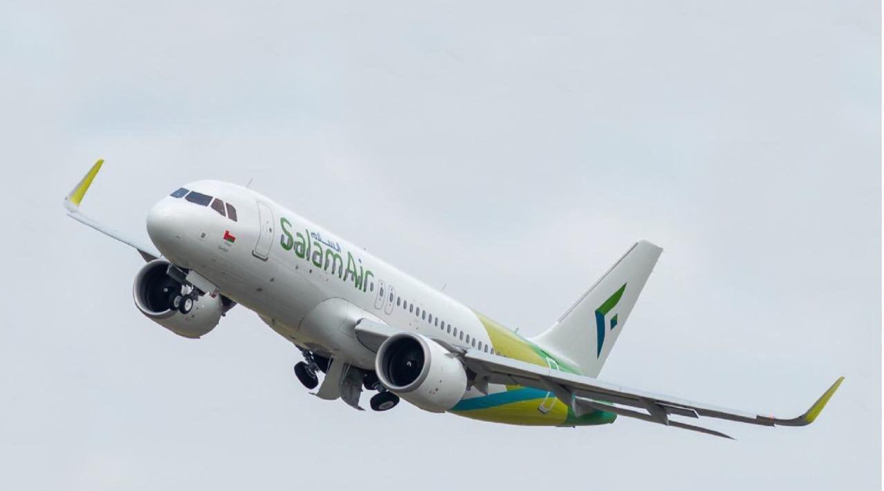 طائر يصطدم بطائرة لطيران السلام