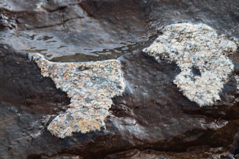 بالصور: فرشاة الطبيعة تحفر خارطة سلطنة عُمان وقارة إفريقيا على بطن صخرة