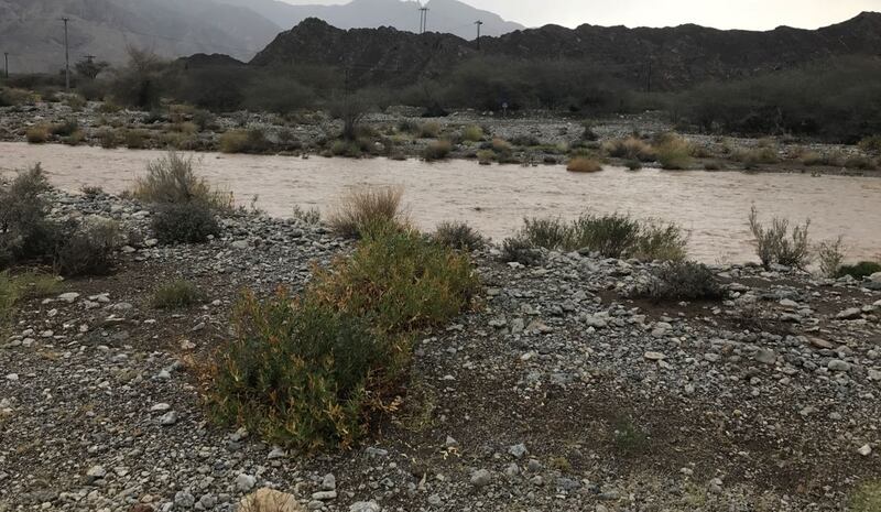 العوابي الأعلى في نسبة الأمطار