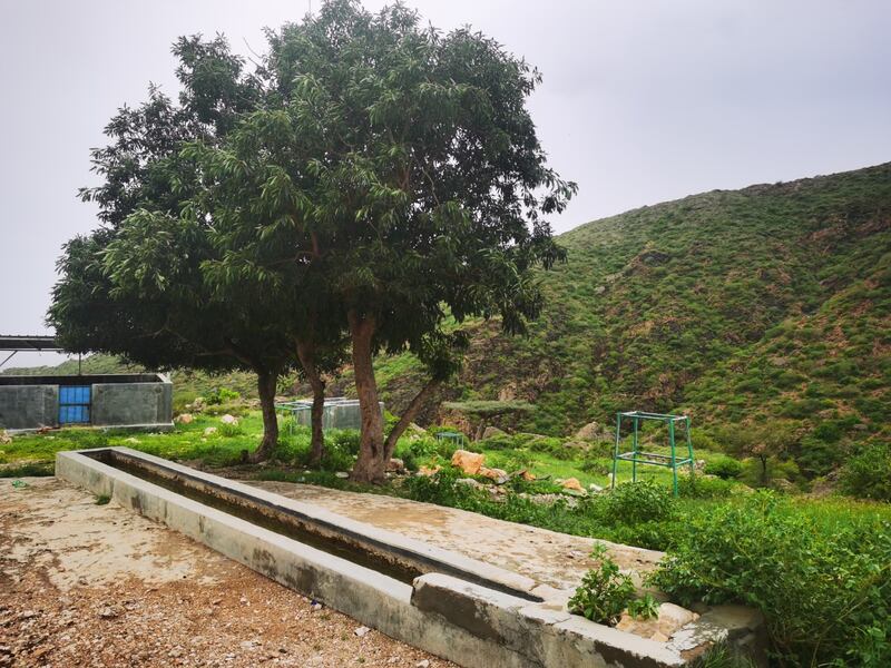 دائمة الجريان: ماذا تعرف عن “عين ماء شيروخ”؟