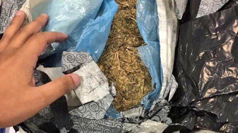 إحباط عدد من محاولات التهريب