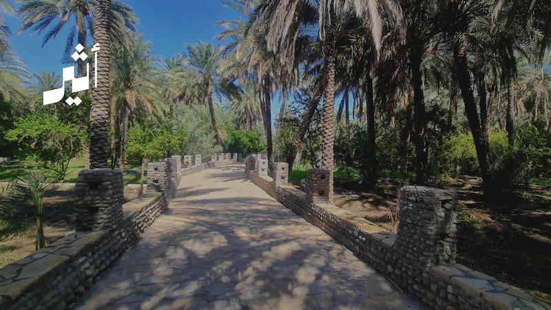 أحد أبناء وادي المعاول ينقل لنا جانبًا من الحياة في الثمانينات