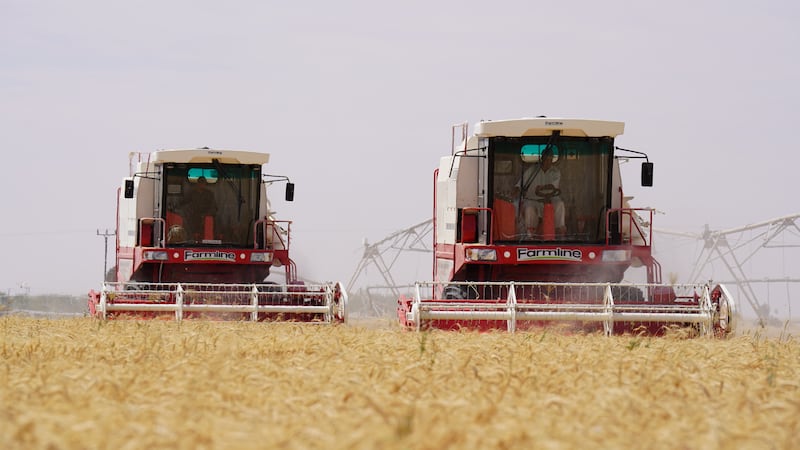 هل سنحقق الاكتفاء الذاتي قريبًا: 30 مشروعًا قادمًا بأكثر من 10 ملايين ريال 