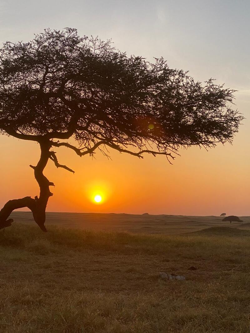 وسائل التواصل ساعدت في تداوله: دبرارتٌ.. فنٌ محلي من ظفار