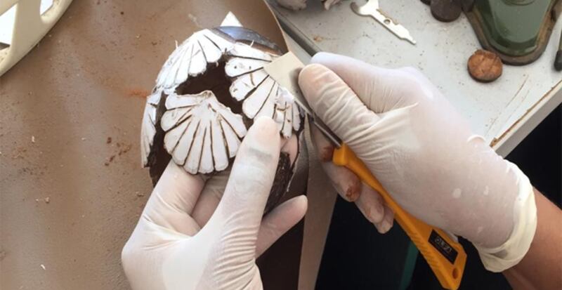 من رخيوت: عُمانيات يستثمرن “الطبيعة” لصناعة منتجات تراثية