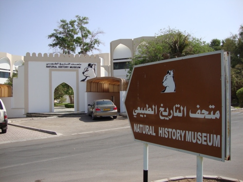 أبرز المعالم والأسواق والمتاحف: دليلك السياحي إلى سلطنة عمان
