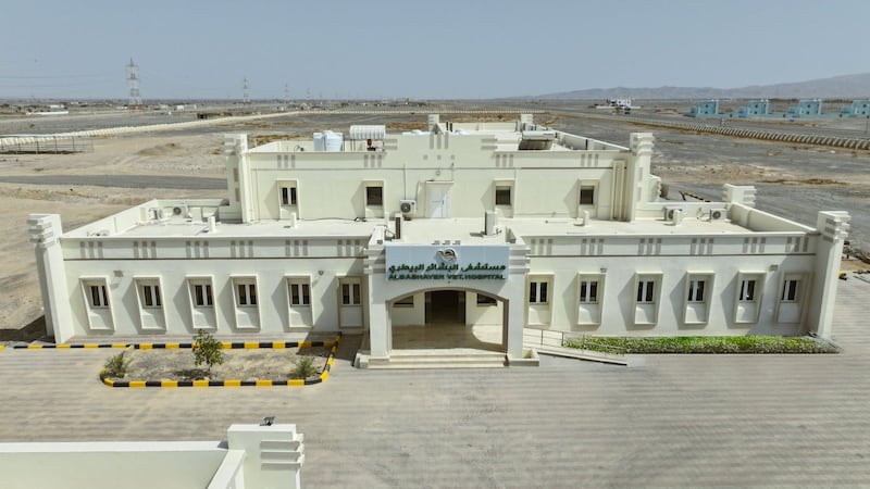 إنجاز طبي بيطري: جراحة دقيقة تنقذ ناقة من كيسة عملاقة 