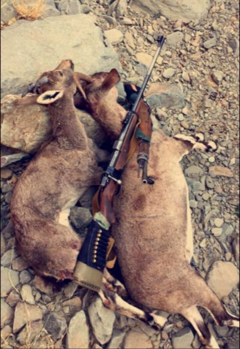 دراسة عمانية تقترح إنشاء أقسام للنزاعات البيئية في المحاكم