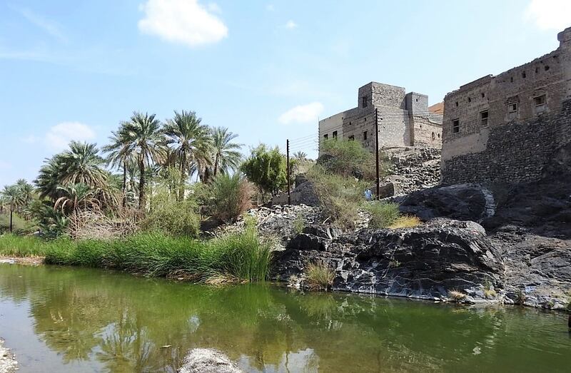 بالصور: القرية العمانية ذات المياه الوفيرة والأشجار الوارفة والآثار القديمة