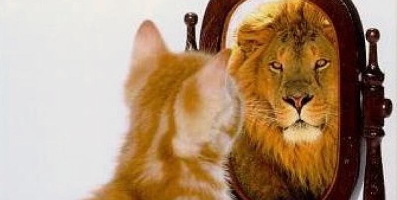 موسى الفرعي يكتب: وصفة طبية للتائهين في الأرض