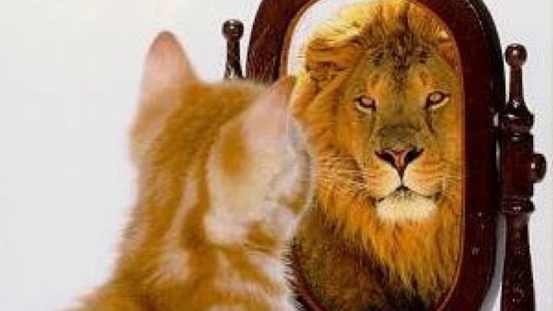 موسى الفرعي يكتب: وصفة طبية للتائهين في الأرض