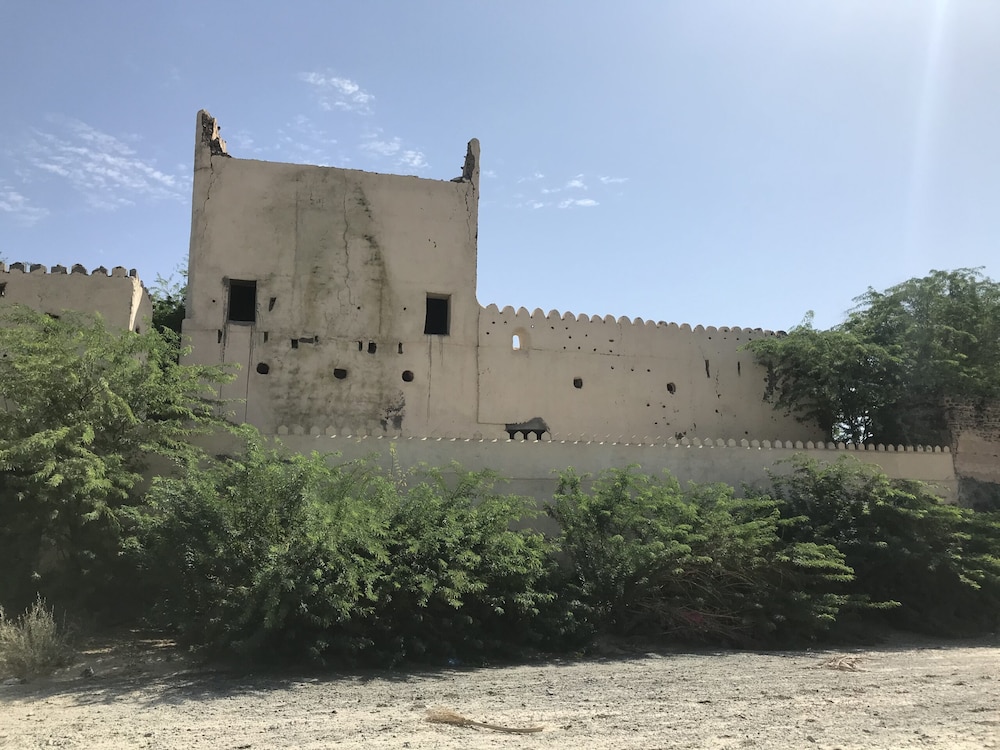 تعرف على المستشار السياسي لسلطان زنجبار
