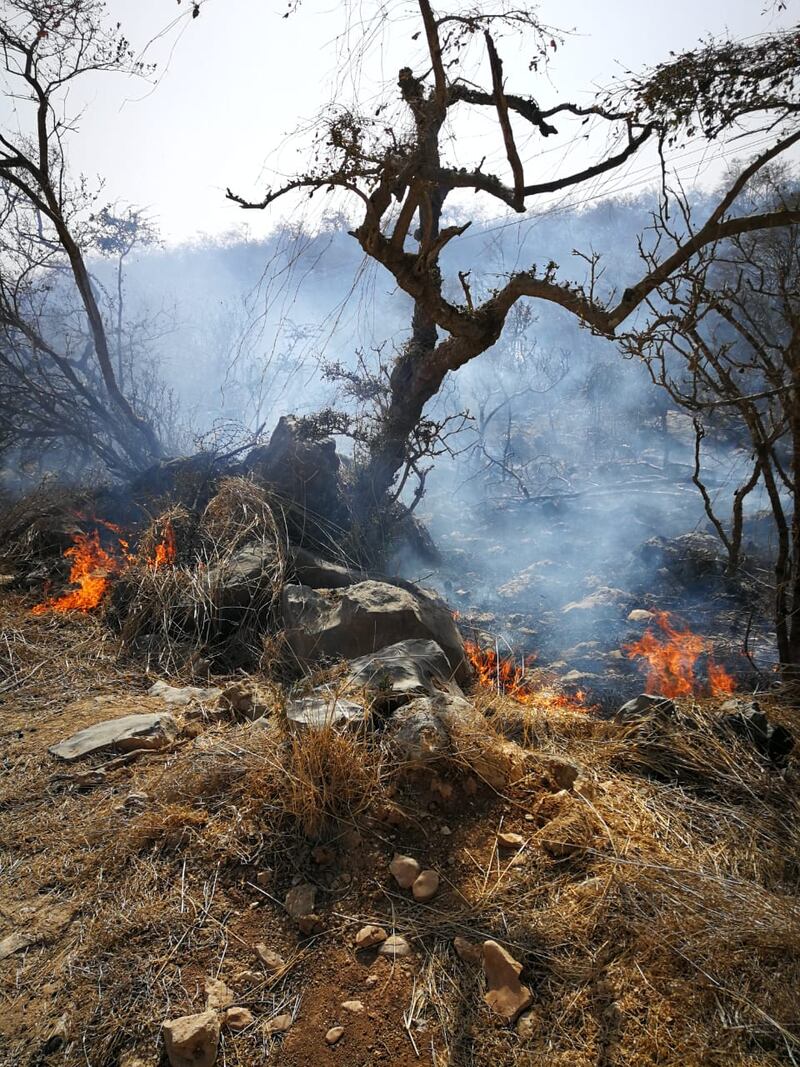 بالصور: حريق يلتهم الكثير من الأشجار و الحشائش برخيوت