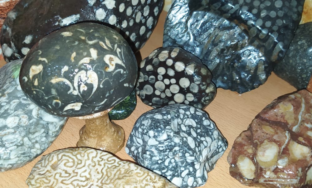 مغامر عماني لُقّب بصائد النيازك يتحدث عن تجربته في البحث عنها