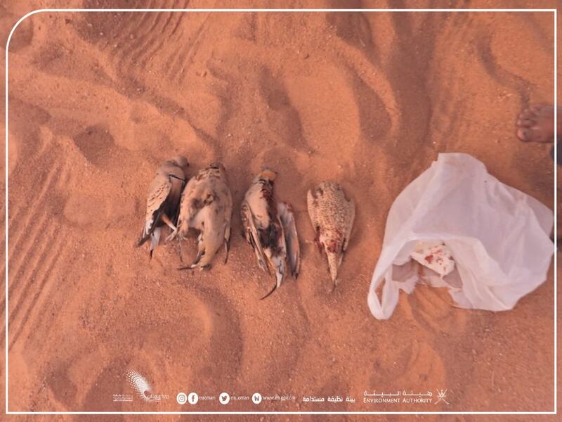 ضبط أشخاص انتهكوا قانون الحياة الفطرية