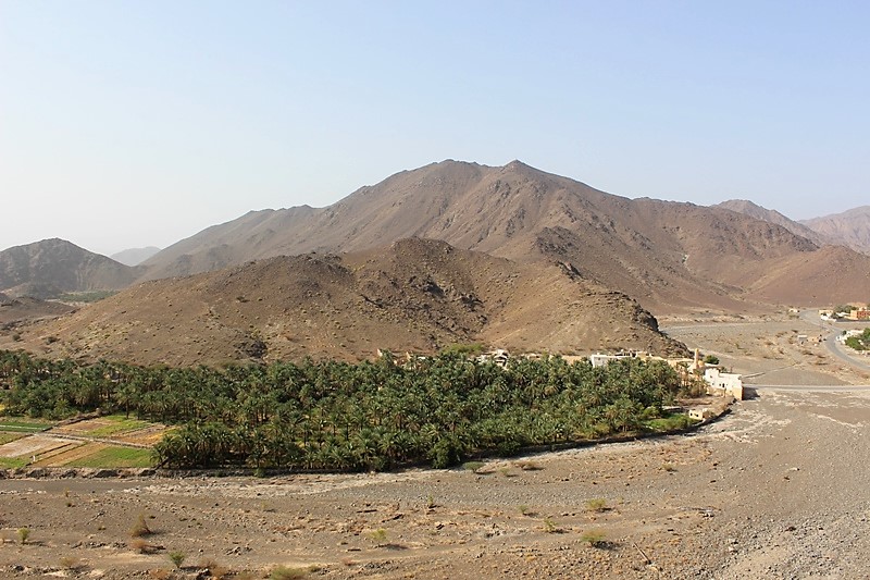 بالصور: القرية العمانية ذات المياه الوفيرة والأشجار الوارفة والآثار القديمة