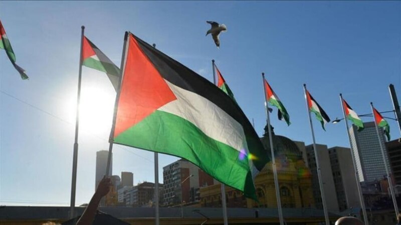 الاعتراف يتسارع: كندا ومالطا ستعلنان اعترافهما بدولة فلسطين