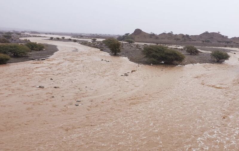 الأودية حاضرة: أمطار الخير تهطل على عدد من الولايات