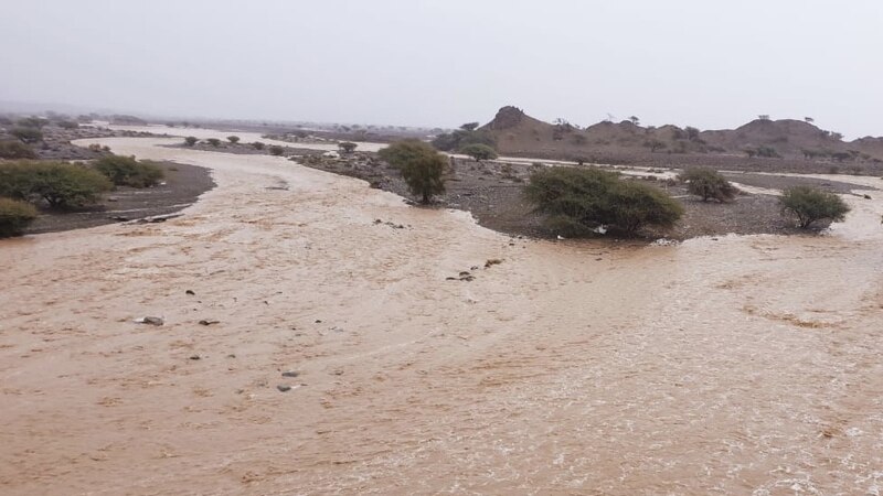 الأودية حاضرة: أمطار الخير تهطل على عدد من الولايات