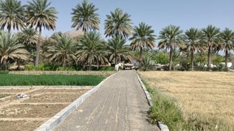 أهالي الحمراء يرصفون طرقًا بين المزارع لممارسة المشي