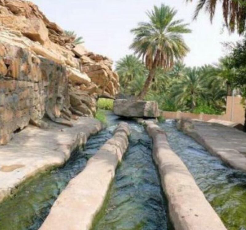 دراسة عمانية تقترح إنشاء أقسام للنزاعات البيئية في المحاكم