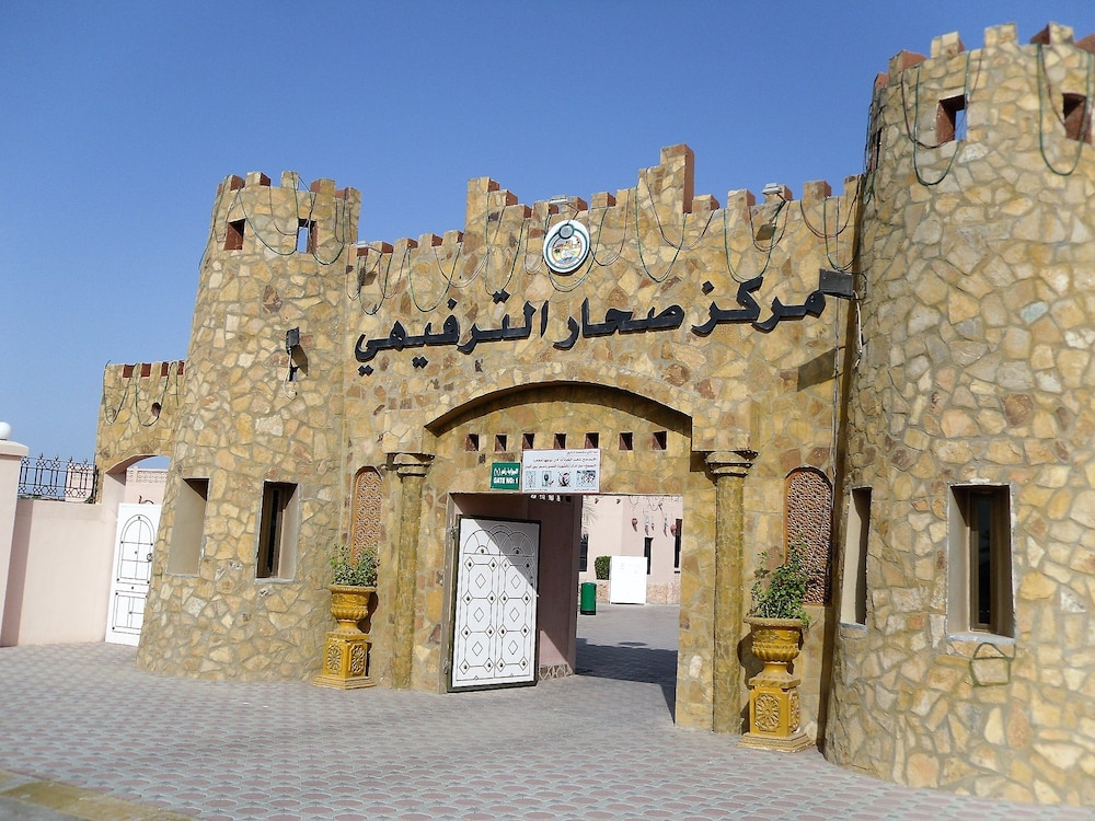 صحار وجهة سياحية مميزة، فماذا تعرف عنها؟