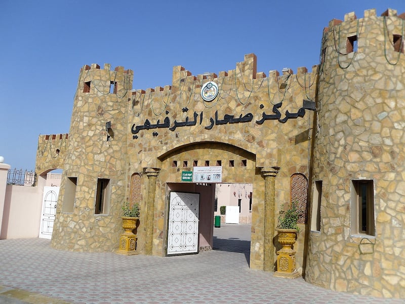 صحار وجهة سياحية مميزة، فماذا تعرف عنها؟