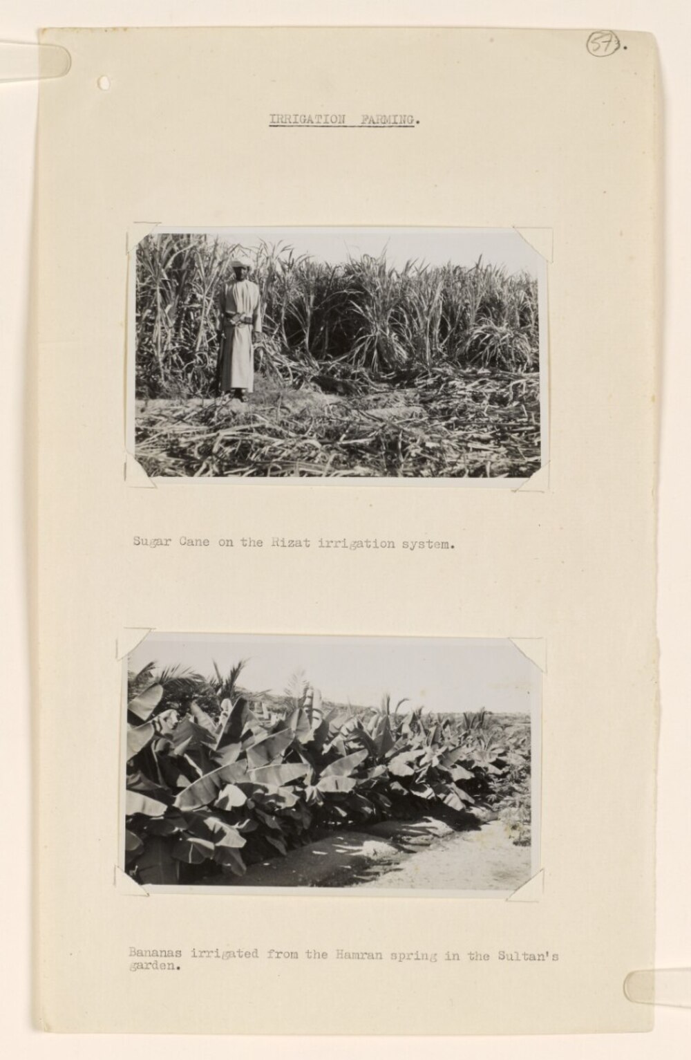 في ظفار: أحداث وتواريخ منذ السيد سعيد بن سلطان حتى جلالة السلطان هيثم