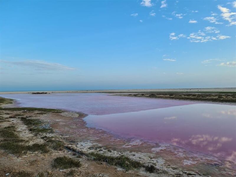 البُحيرات الوردية:أشهر الوجهات السياحية في الجازر 