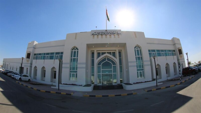 تسجيل الأسماك إلكترونيًا قبل وصولها للسوق المركزي