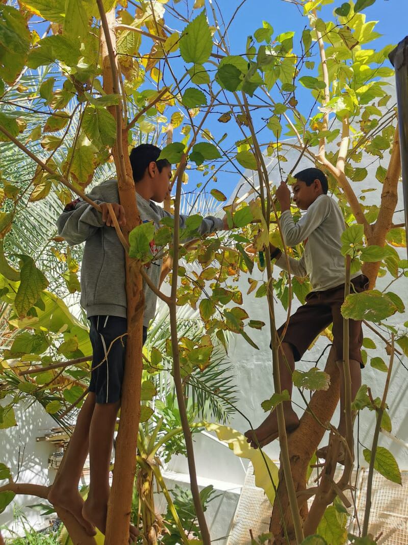 بالصور: تجار صغار في سوق نزوى؛ فما قصتهم وكيف بدأوا؟