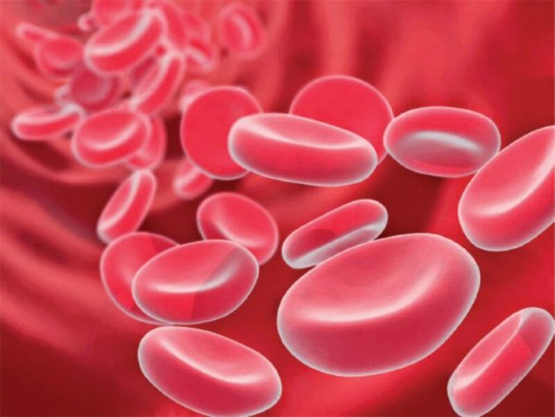 2 % من سكان السلطنة مُصابون بـ “الثلاسيميا”.. ومسقط والباطنة الأعلى