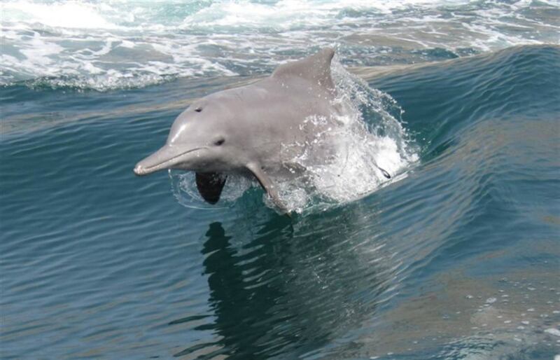 بالصور: خصب..اسمٌ على مسمّى وعنوان للجمال المُبتغى