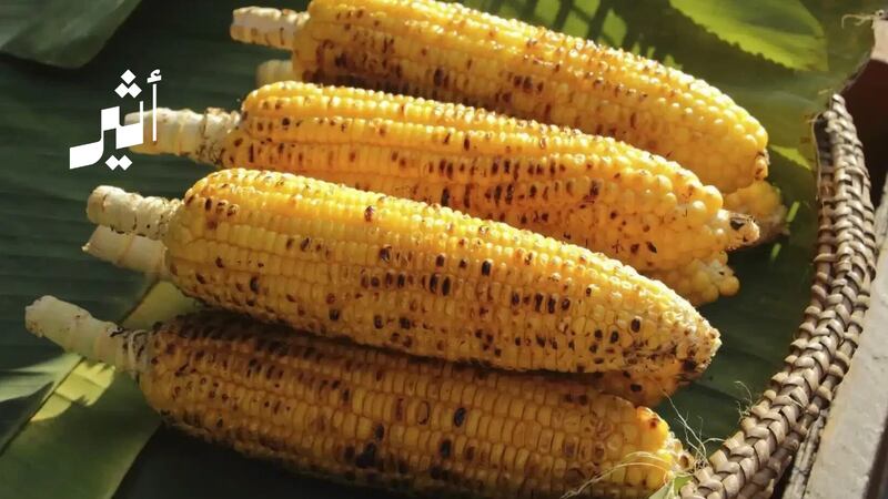 تجنب هذه المخاطر الصحية عند شوي الذرة