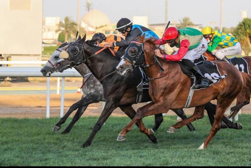 “الثراء” يحقق مركزًا متقدمًا في سباق للخيول العربية