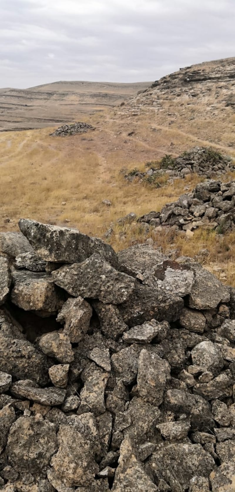 “حيوان سيلول” نموذجًا: آثار قديمة في ظفار نُسِجت حولها أساطير