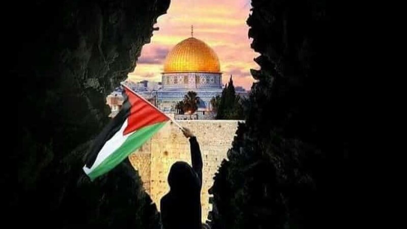 محمد الجزيري يكتب: رغمَ الألم سنظلّ نهتف أبدا: يحيا الإنسان