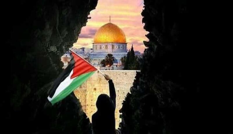 محمد الجزيري يكتب: رغمَ الألم سنظلّ نهتف أبدا: يحيا الإنسان