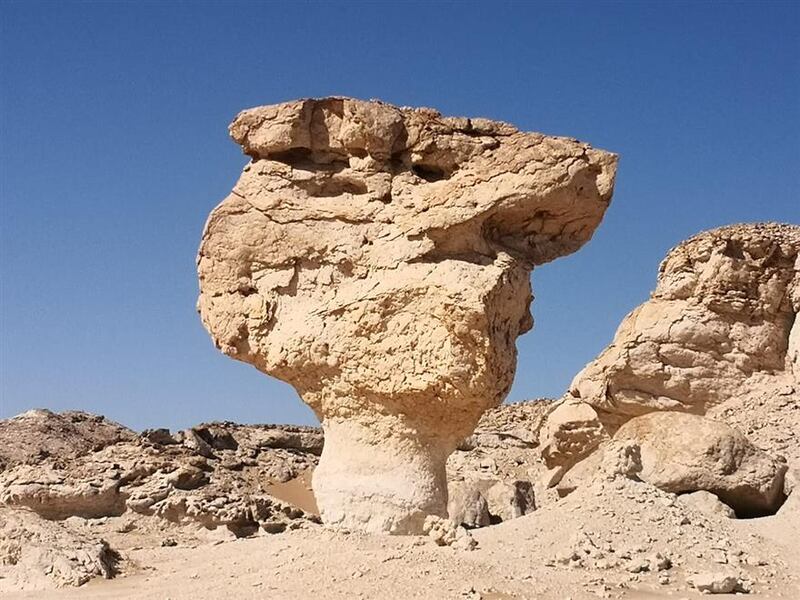 ترسبات صخرية عمرها أكثر من 50 مليون سنة في إحدى الولايات