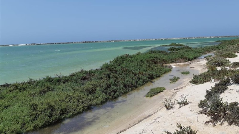 ثروة وطنية في محافظة الوسطى، تعرف عليها