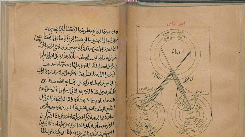 يوم سنوي للاحتفال بالشخصيات العمانية المؤثرة عالميا