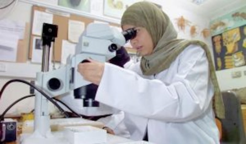 للتمثيل لا الحصر: تعرّف على 48 مُنجزًا من منجزات النهضة العمانية