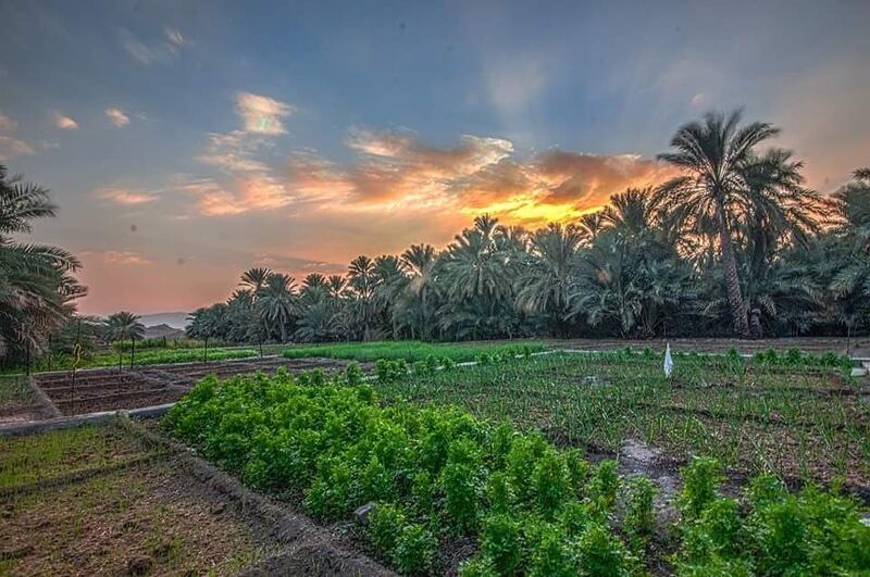 ماذا تعرف عن القرية التي سُمّيت على اسم فلجها في ينقل؟