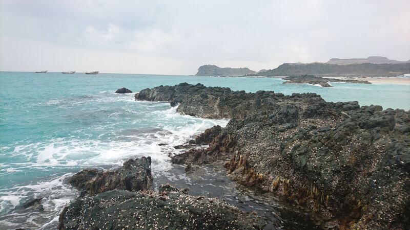 بالصور: رأس مدركة مكان سياحي جذاب.. وهذا ما يتميّز به