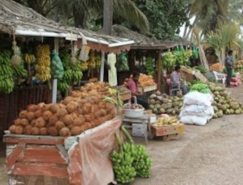 ماذا تعرف عن كشكات “المشلي”: شراب الخريف الطبيعي؟