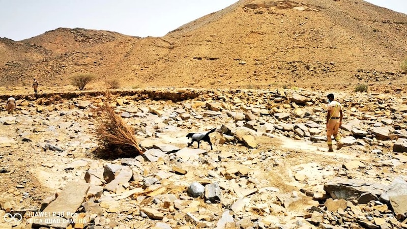 العثور على جثمان المفقود الرابع في صور