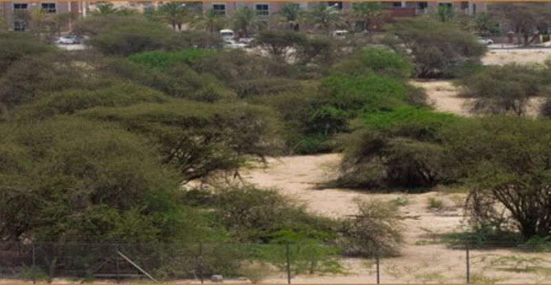 الأول من نوعه بالسلطنة: تحويل محمية في مسقط إلى مشروع ذي عائد بيئي واقتصادي واجتماعي