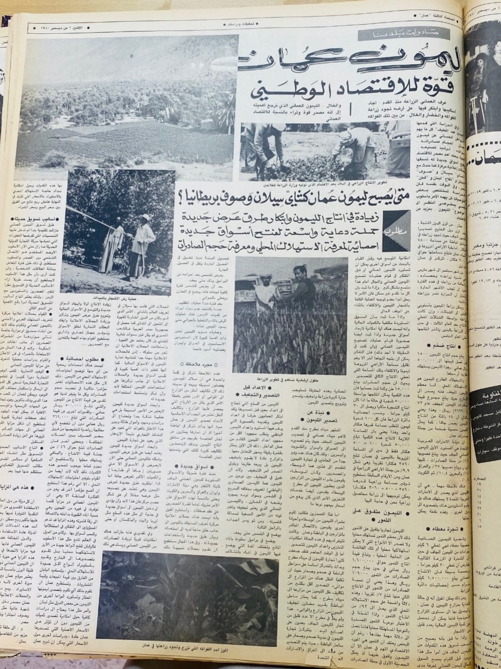 ليمون عمان قوة للاقتصاد الوطني، جريدة عُمان