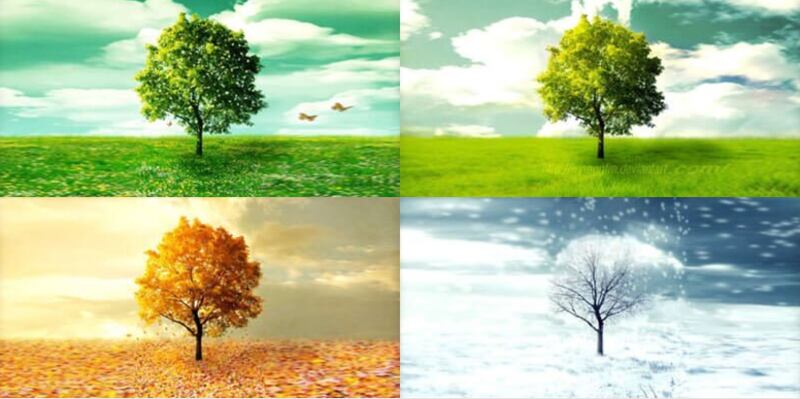 بين الاعتدال والتقلب: كيف تظهر الفصول الأربعة في يوم واحد؟