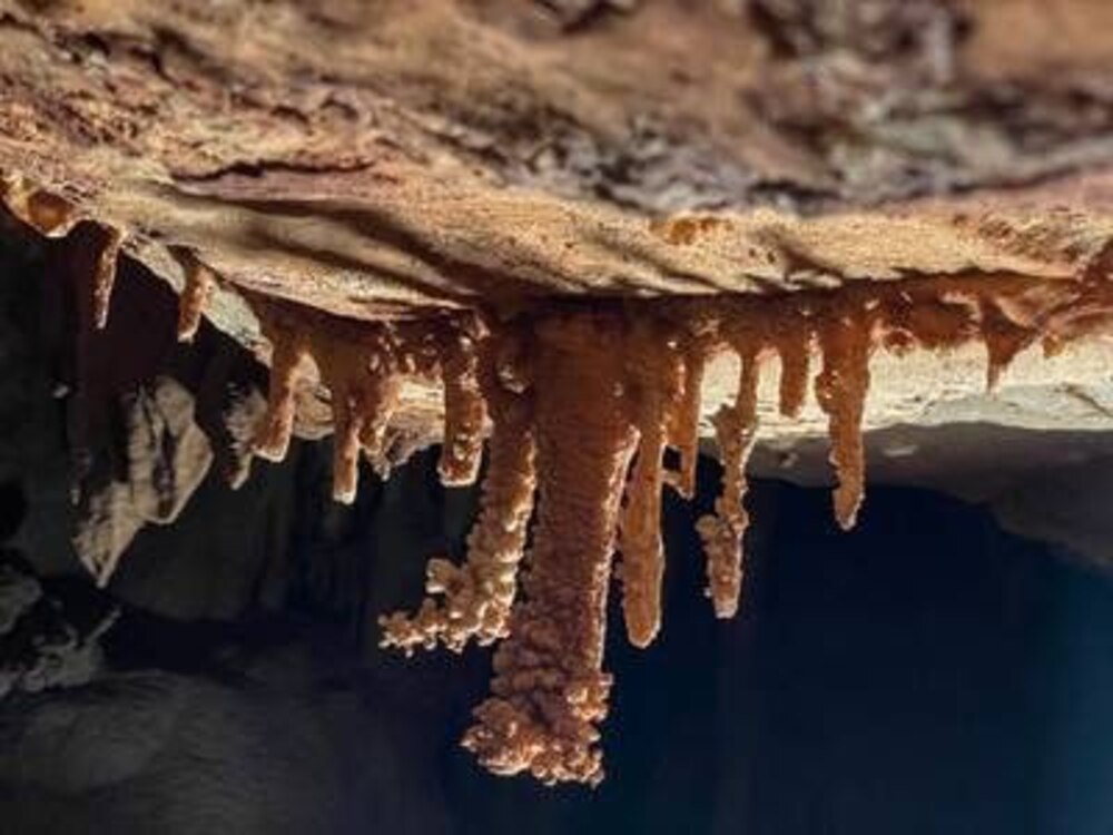 صحيفة ذا ناشيونال: الكهف الجديد في الجبل الأخضر يزيد آمال انتعاش السياحة في سلطنة عمان